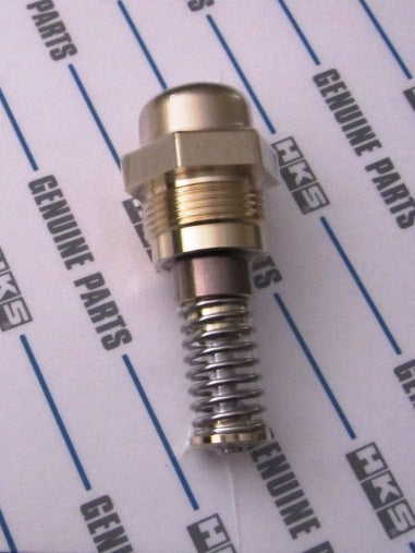 HKS low temp oil cooler thermostat.